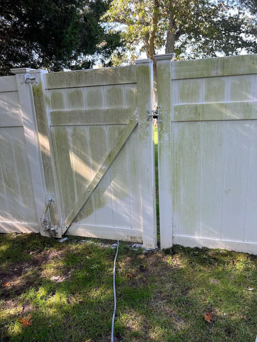 Fence Cleaning