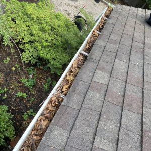 Gutter Cleaning Service