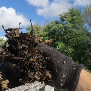 Cleaning,Gutters,Out